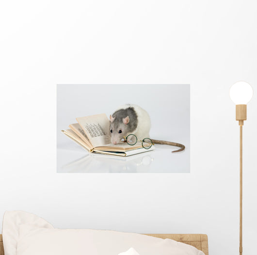Reading Rat Wall Decal