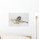 Reading Rat Wall Decal