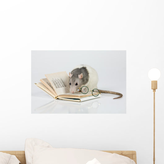 Reading Rat Wall Decal