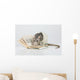 Reading Rat Wall Decal