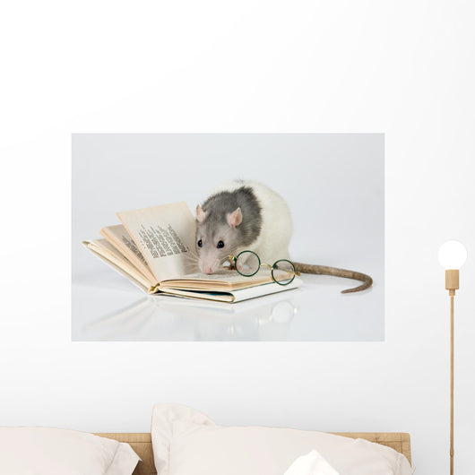 Reading Rat Wall Decal