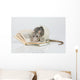 Reading Rat Wall Decal