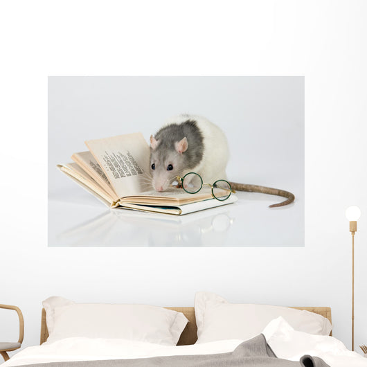 Reading Rat Wall Decal