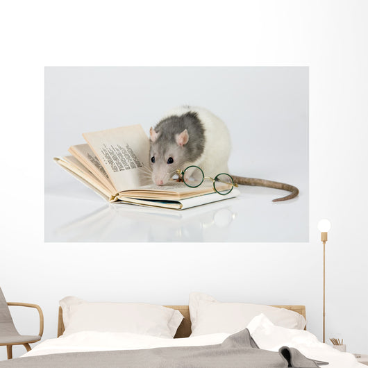 Reading Rat Wall Decal