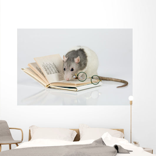 Reading Rat Wall Decal