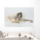 Reading Rat Wall Decal