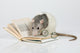 Reading Rat Wall Decal