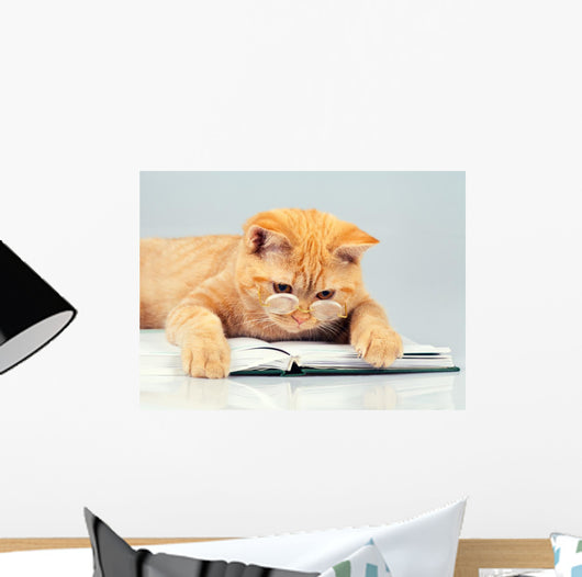 Cute business cat wearing glasses reading notebook (book) Wall Decal