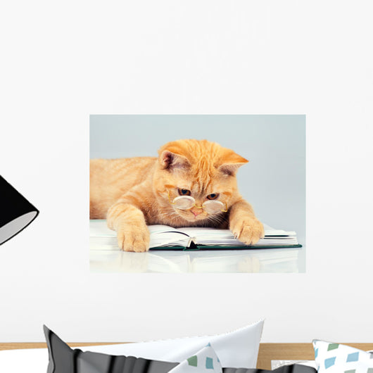 Cute business cat wearing glasses reading notebook (book) Wall Decal