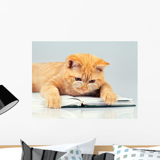 Cute business cat wearing glasses reading notebook (book) Wall Decal