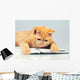 Cute business cat wearing glasses reading notebook (book) Wall Decal