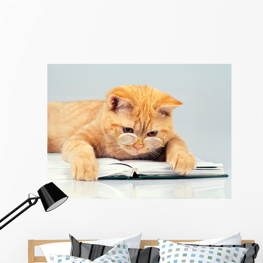 Cute business cat wearing glasses reading notebook (book) Wall Decal