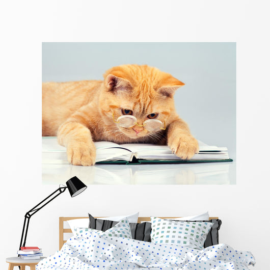 Cute business cat wearing glasses reading notebook (book) Wall Decal