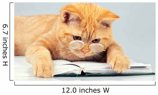 Cute business cat wearing glasses reading notebook (book) Wall Decal