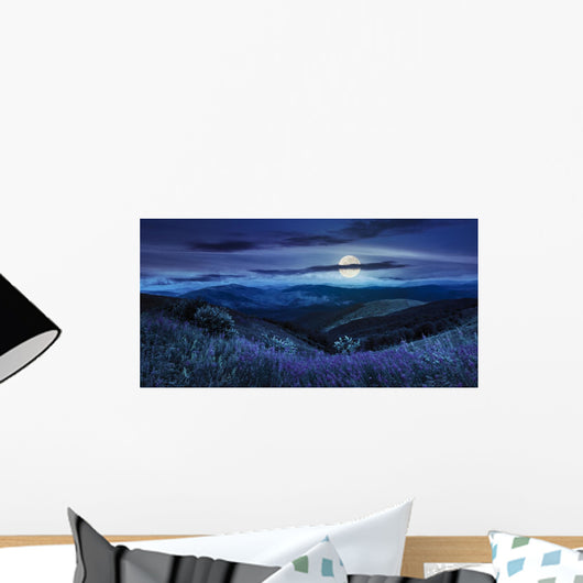 wild flowers on the mountain top at night Wall Decal