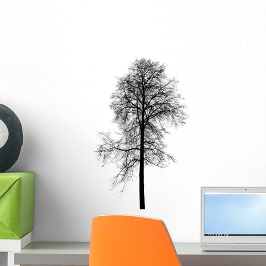 Leafless Birch Tree Silhouette Wall Decal