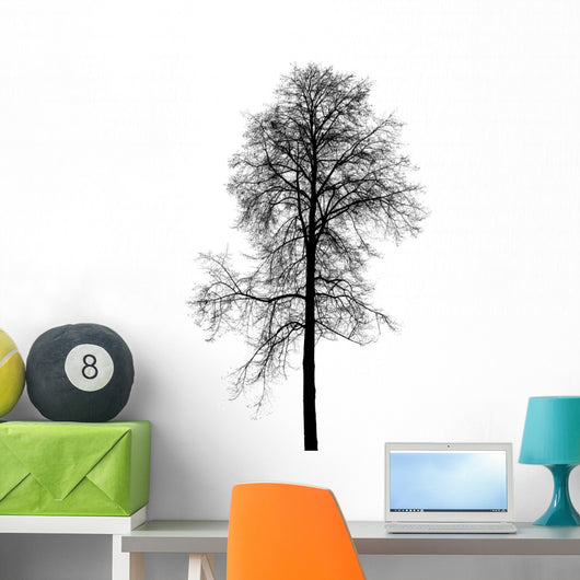 Leafless Birch Tree Silhouette Wall Decal