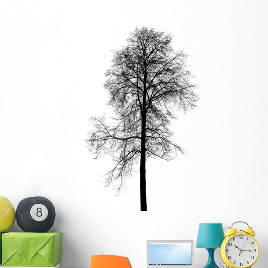 Leafless Birch Tree Silhouette Wall Decal