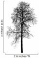 Leafless Birch Tree Silhouette Wall Decal