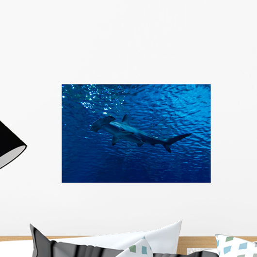 Silhouette of hammerhead shark in the water Wall Decal