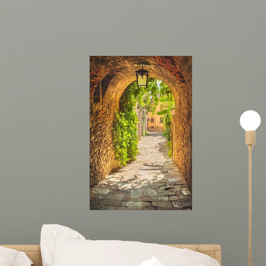 Old streets of greenery a medieval Tuscan town. Wall Decal