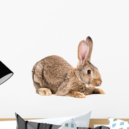 Portrait of a brown rabbit Wall Decal