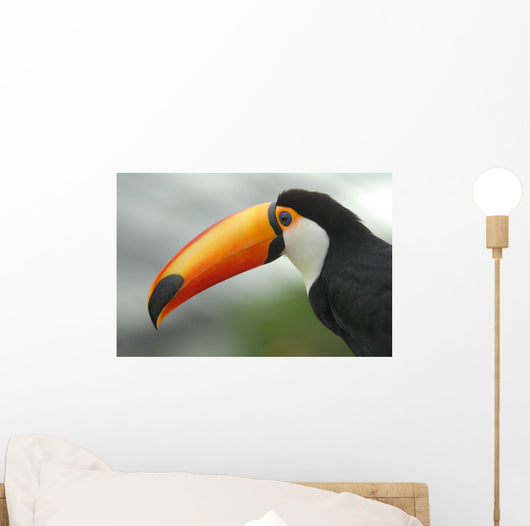 Profile Toucan Wall Decal