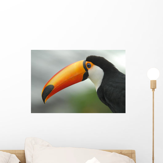 Profile Toucan Wall Decal