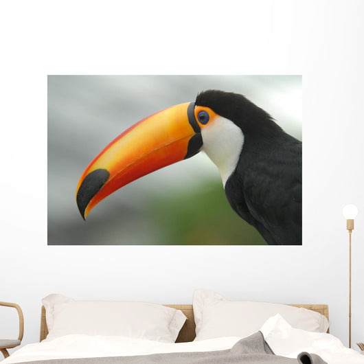 Profile Toucan Wall Decal