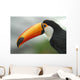 Profile Toucan Wall Decal
