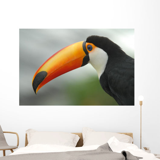 Profile Toucan Wall Decal