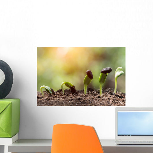 seed root on soil with sunbeam new life concept Wall Decal