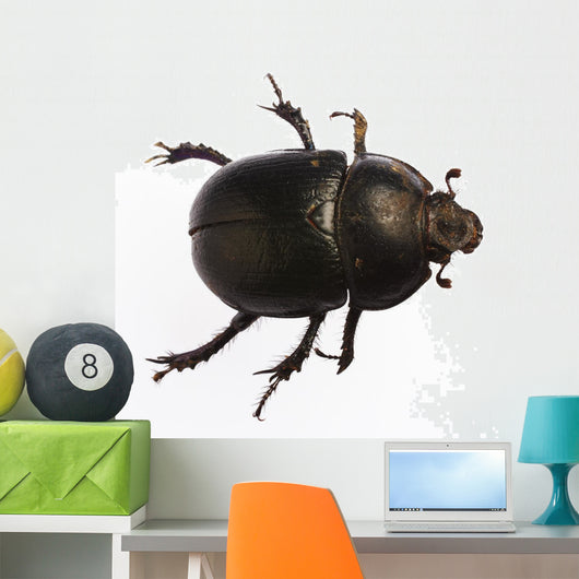Bug Wall Decal