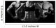 Bodybuilding. Man and  woman Wall Decal