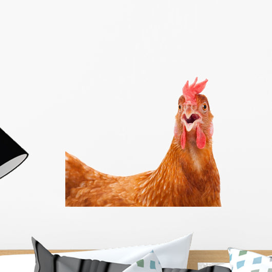 chicken hen shock Wall Decal