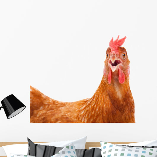 chicken hen shock Wall Decal