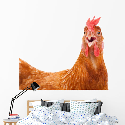 chicken hen shock Wall Decal