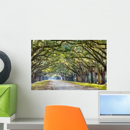 Oak Trees in Savannah Wall Decal