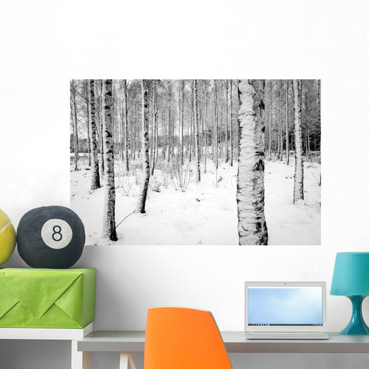 Birch tree forest in winter Wall Decal