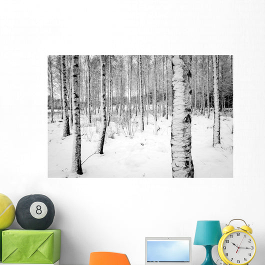 Birch tree forest in winter Wall Decal
