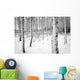 Birch tree forest in winter Wall Decal