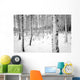 Birch tree forest in winter Wall Decal