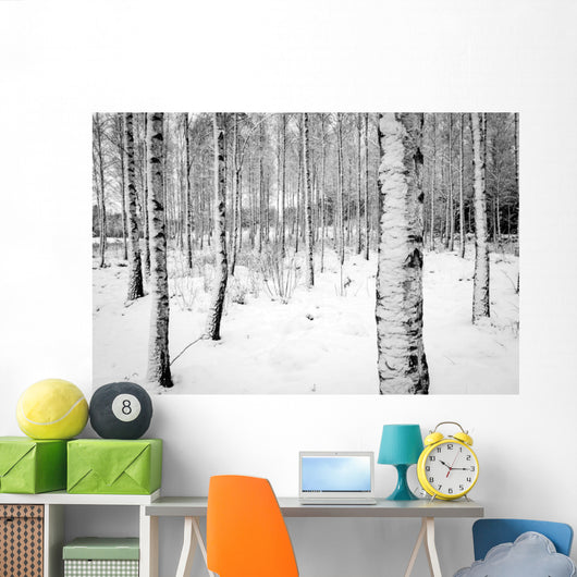 Birch tree forest in winter Wall Decal
