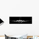 Rear view of healthy muscular young man Wall Decal