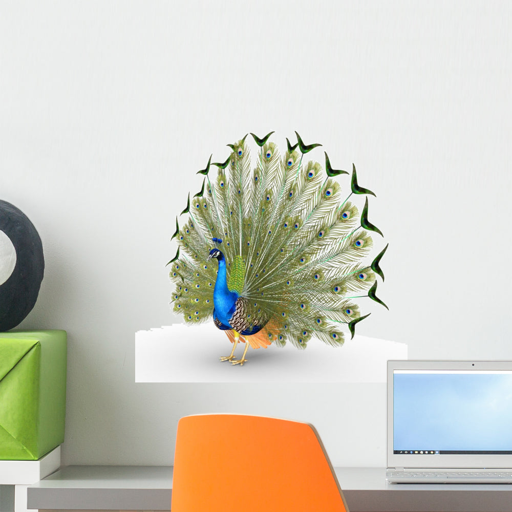 3d peacock wall stickers deals
