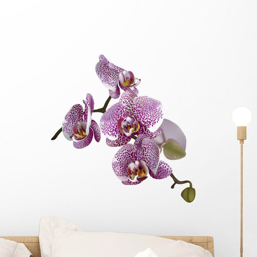 Illustrated Realistic orchid Wall Decal