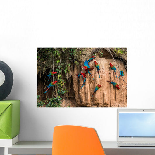 macaws in clay lick in the peruvian Amazon jungle at Madre de Di Wall Decal