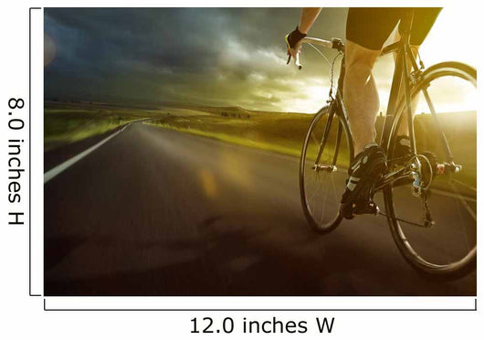 Bike Wall Decal