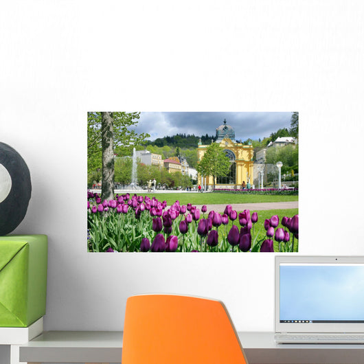 Singing fountain, spa Marianske lazne, Czech republic Wall Decal