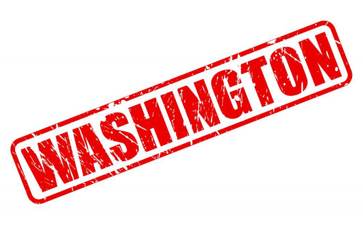 WASHINGTON red stamp text Wall Decal